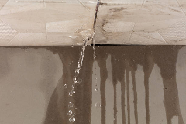 Professional Water Damage Repair technician working in Trinidad, TX